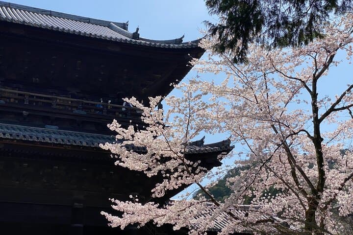 Kyoto Garden Tour and Mini Garden Making Experience — photo 4