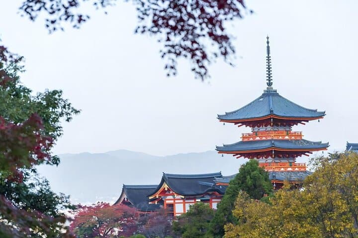 Private Kyoto Highlights Day Tour from Osaka with Hotel Pickup — photo 7