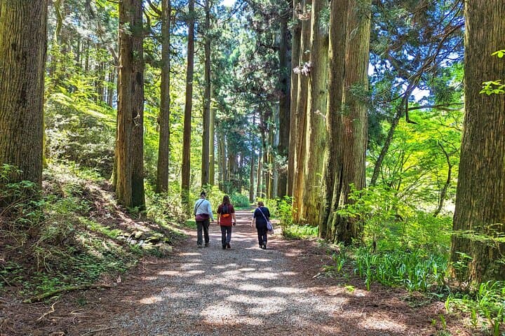 Private Hakone Tour - View of Mt. Fuji, Nature and Culture — photo 4