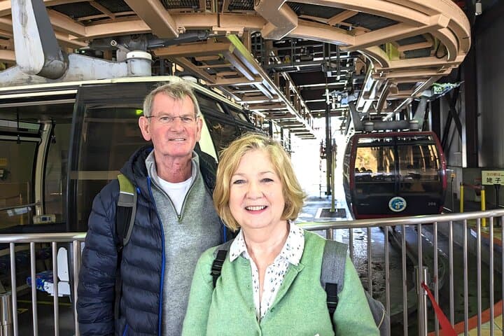 Private Hakone Tour - View of Mt. Fuji, Nature and Culture — photo 12