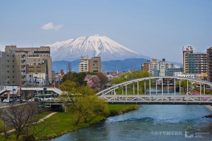 Morioka Town Half Day Walking Shared Tour with Wanko -Soba — photo 6