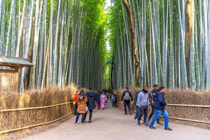Explore Arashiyama Bamboo Forest with Authentic Zen Experience — photo 2