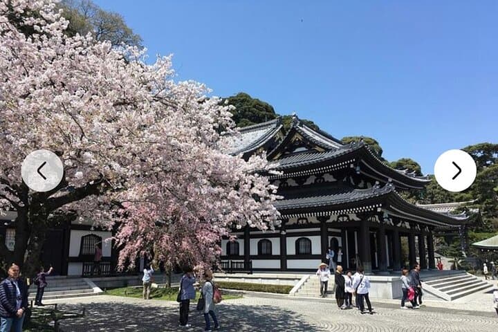 Tokyo Private Day Tour by Car with English speaking Driver Guide — photo 13