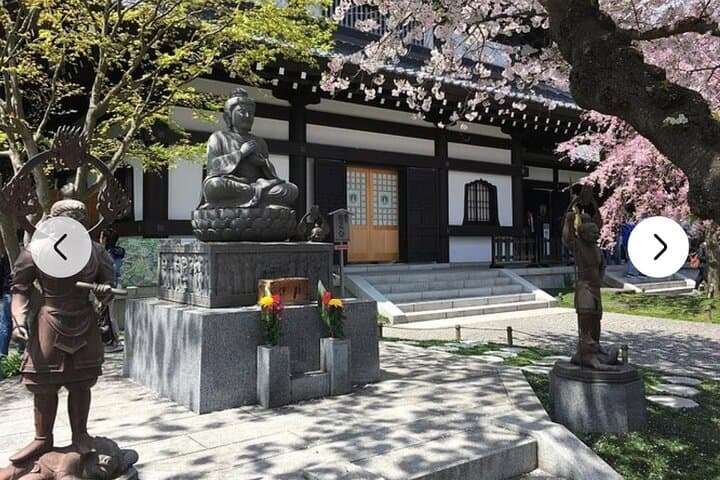 Tokyo Private Day Tour by Car with English speaking Driver Guide — photo 14