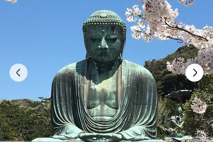 Tokyo Private Day Tour by Car with English speaking Driver Guide — photo 15
