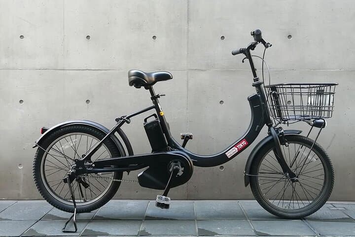 Explore Tokyo’s Must-See Spots by E-Bike – Small Group 3h Tour — photo 12