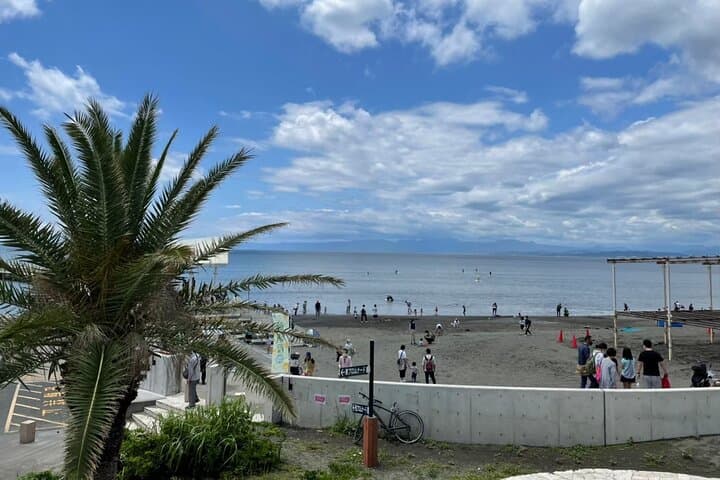 Kamakura & Shonan Highlights: Temples, History and Food Tour — photo 6