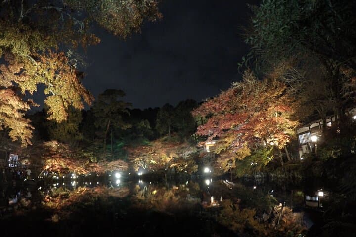 Japan Kyoto Online Tours Virtual Experience — photo 2