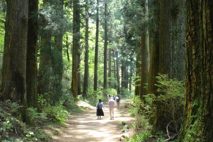 Hike Hakone Hachiri — photo 3