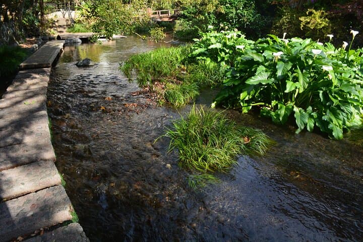 Hike Hakone Hachiri — photo 5