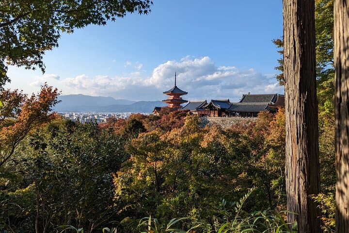 Tour in Kyoto with a Goverment Certified Tour Guide — photo 4