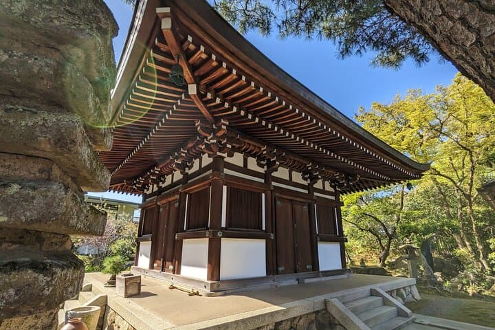 Tea Ceremony in a Japanese painter's Garden in Kyoto — photo 6
