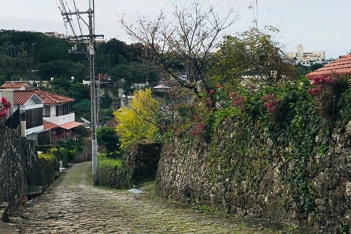 Afternoon Okinawa Local E-bike Tour with Views【Free cancellation】 — photo 17