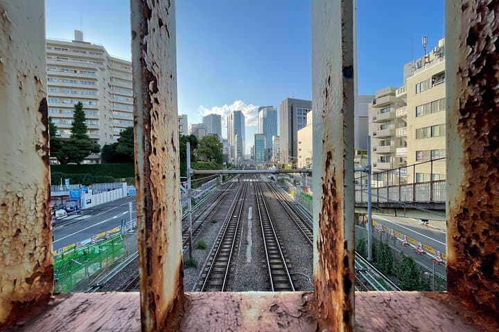 Discover Tokyo: 3-Hour Private Guided Photo Walking Tour — photo 9