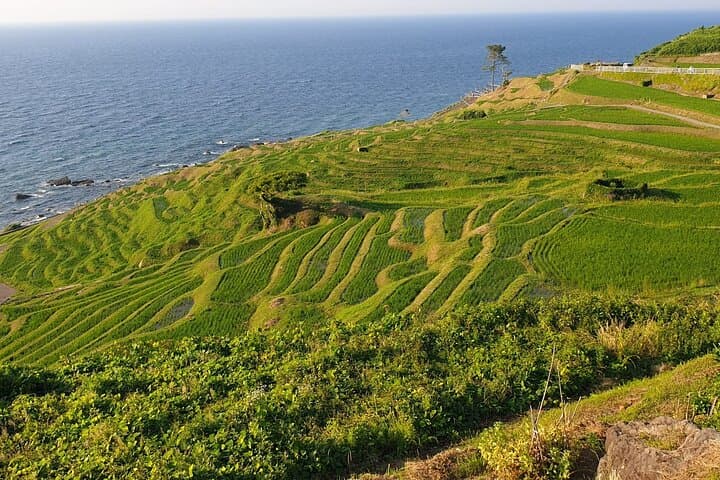 Full-Day Bicycle Tour on the Noto Peninsula — photo 4