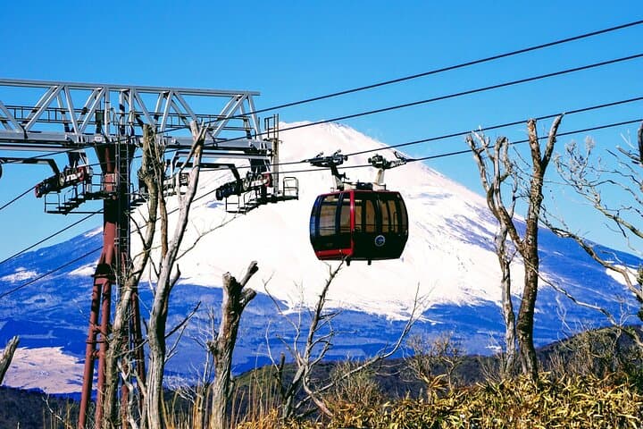 Mt. Fuji 5th St, Hakone Owakudani, Lake Ashi and Gotemba Outlets — photo 5