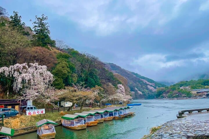 Private car tour Let's uncover secrets of majestic Kyoto history — photo 18