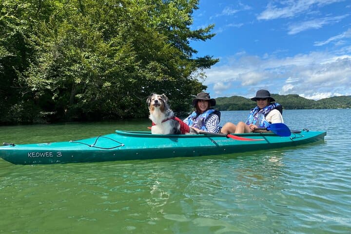 Shared 2 Hour Lake Hibara Canoe Experience in Yama Gun Fukushima — photo 8