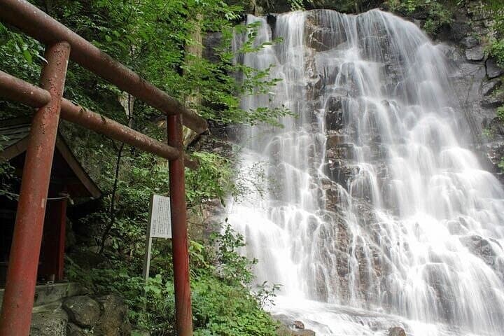 Fuji Spiritual Private Tour with Lunch and Dinner — photo 13