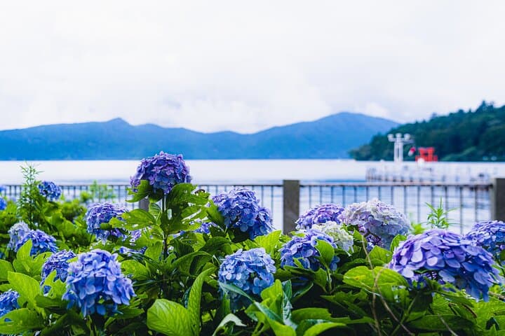 Mt. Fuji 5th St, Hakone Owakudani, Lake Ashi and Gotemba Outlets — photo 14