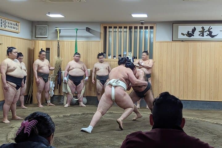 Morning Sumo Practice Viewing in Tokyo — photo 3