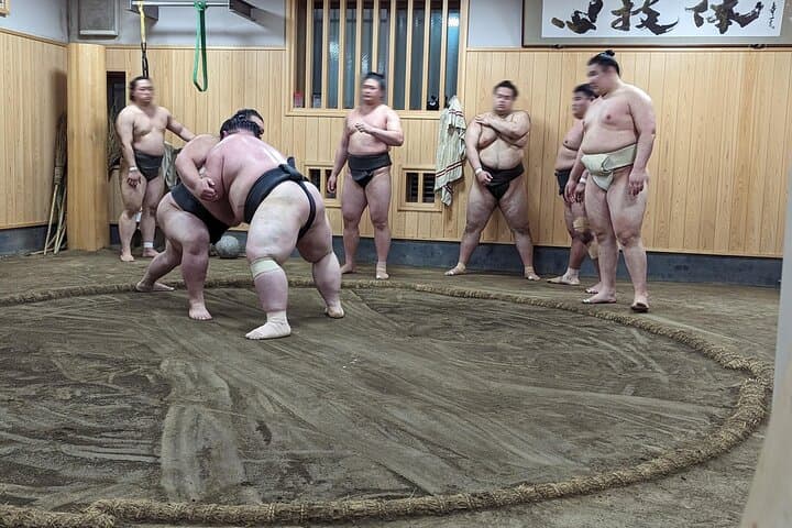 Morning Sumo Practice Viewing in Tokyo — photo 4
