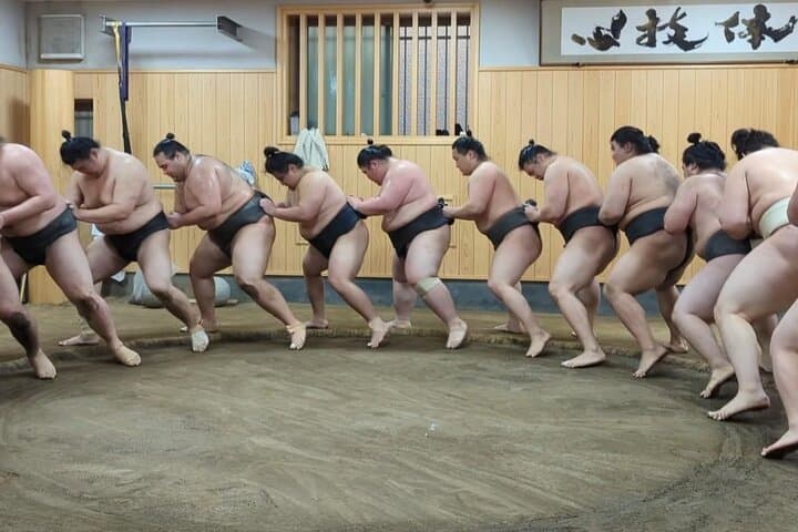 Morning Sumo Practice Viewing in Tokyo — photo 8