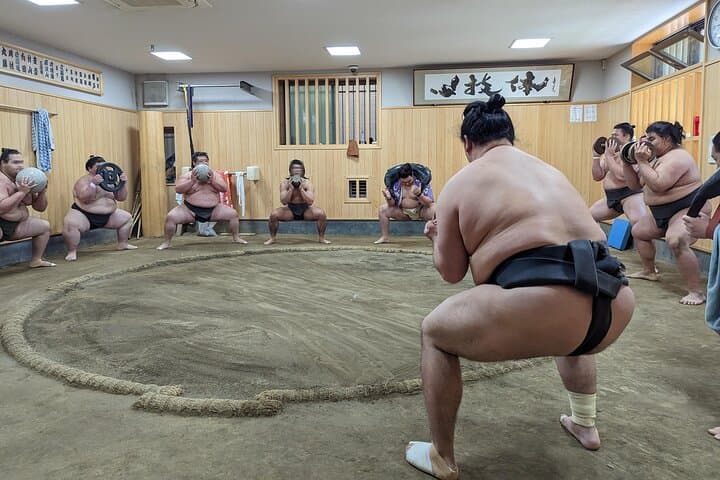 Morning Sumo Practice Viewing in Tokyo — photo 7