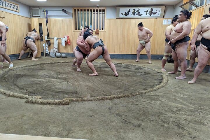 Morning Sumo Practice Viewing in Tokyo — photo 5