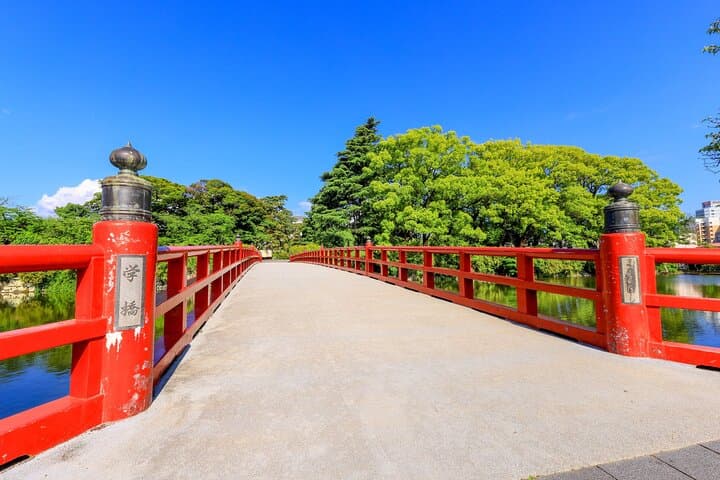 Odawara Castle and Town Guided Discovery Tour — photo 7