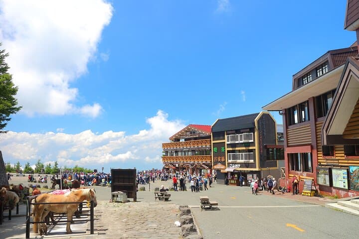 Mt. Fuji 5th St, Hakone Owakudani, Lake Ashi and Gotemba Outlets — photo 17
