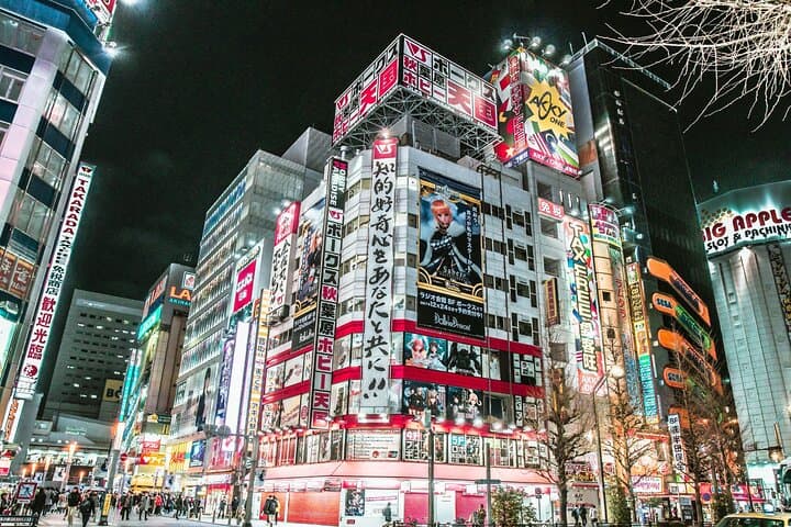 Tokyo Best Private Food Tour With A Guide — photo 5