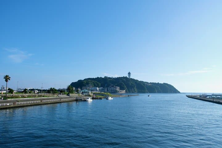 Kamakura & Shonan Highlights: Temples, History and Food Tour — photo 7