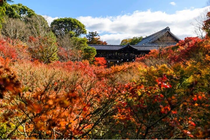Early Bird E-biking through East Kyoto — photo 5