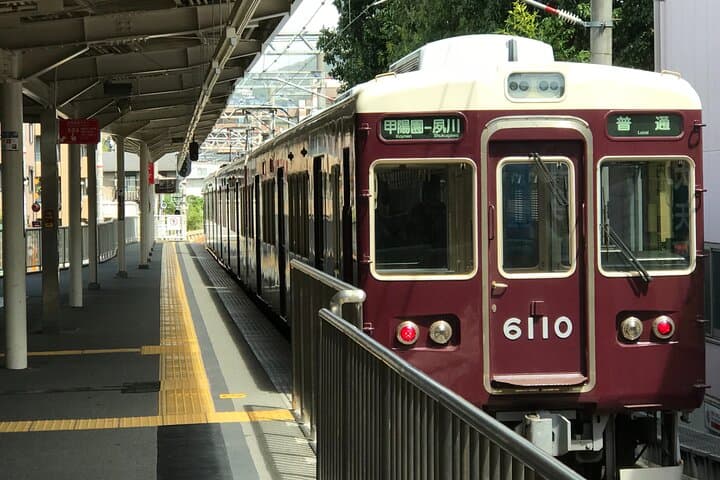 Real-Life Anime Location Visiting in Osaka Private Guided Tour — photo 4