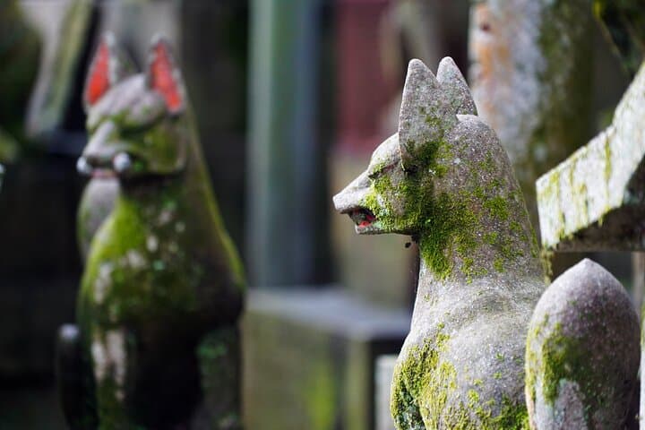 Fushimi Inari Hidden Hiking Tour (Private Option Available) — photo 17