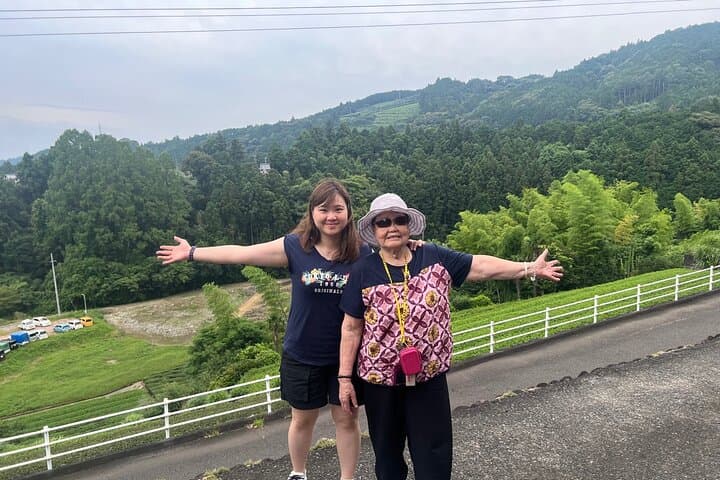Shizuoka Tea Picking Private Experience — photo 2