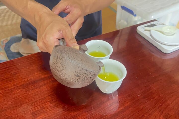 Shizuoka Tea Picking Private Experience — photo 9