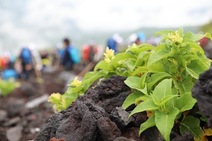 Private Trekking Experience up to 7th station in Mt. Fuji by Car — photo 4
