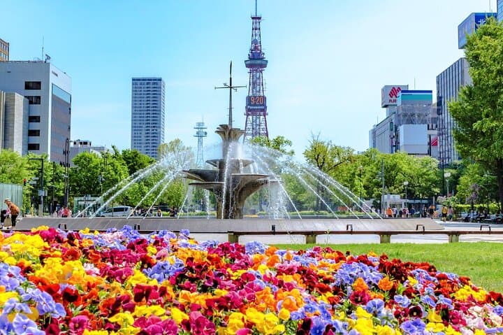 Sapporo Walking Tour (Morning/Afternoon on Weekdays) — photo 9
