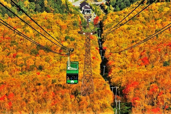 Kurodake Ropeway, Asahiyama Zoo Autumn Leaves Bus Tour
