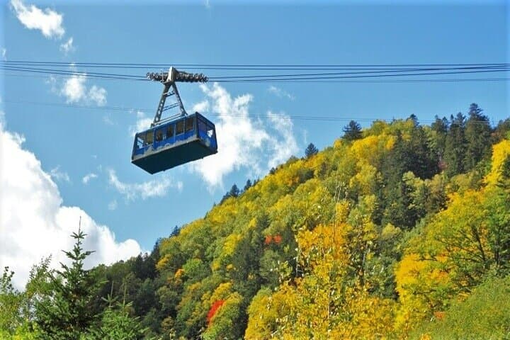 Kurodake Ropeway, Asahiyama Zoo Autumn Leaves Bus Tour — photo 7