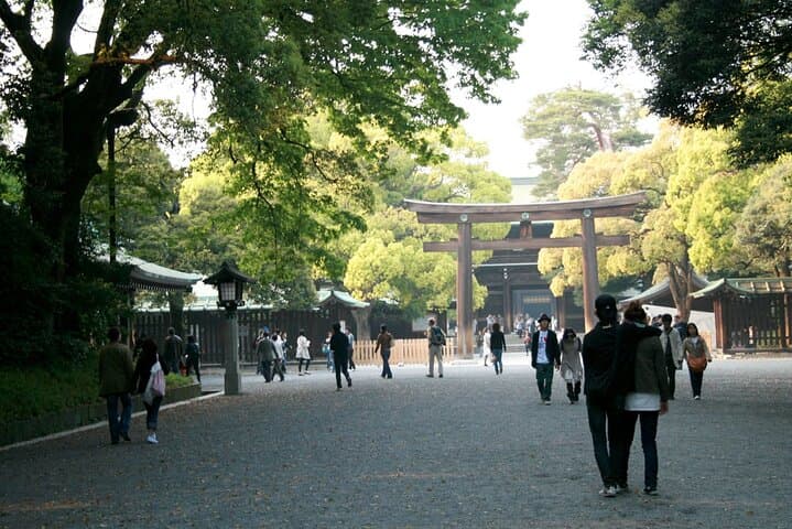 Tokyo Full Day Trip with Private Guide and Luxury Car — photo 7