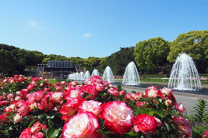 Kobe City's Best Gems - Private car tour. — photo 12