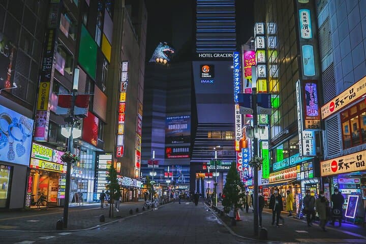 The Dark Side of Tokyo - Night Walking Tour Shinjuku Kabukicho — photo 9