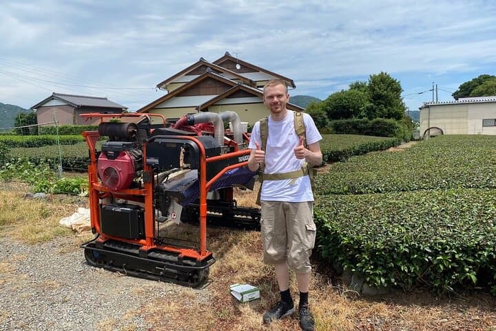Shizuoka Tea Picking Private Experience — photo 4