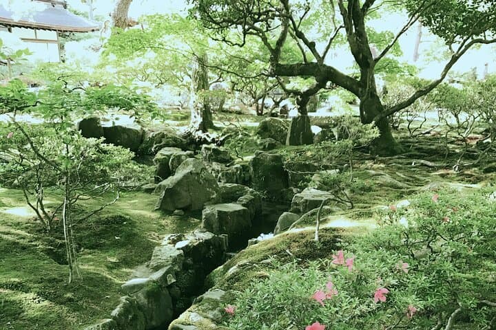 Japan Kyoto Online Tours Virtual Experience — photo 3