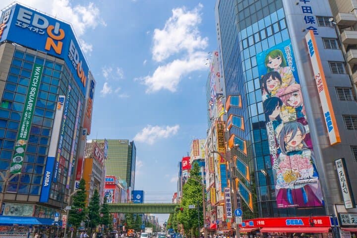 Private Tokyo Custom Full-Day Tour by Chartered Vehicle — photo 5