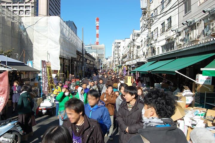 Private Tokyo Custom Full-Day Tour by Chartered Vehicle — photo 9