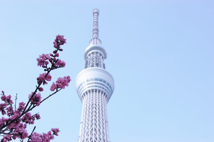 Private Tokyo Custom Full-Day Tour by Chartered Vehicle — photo 8